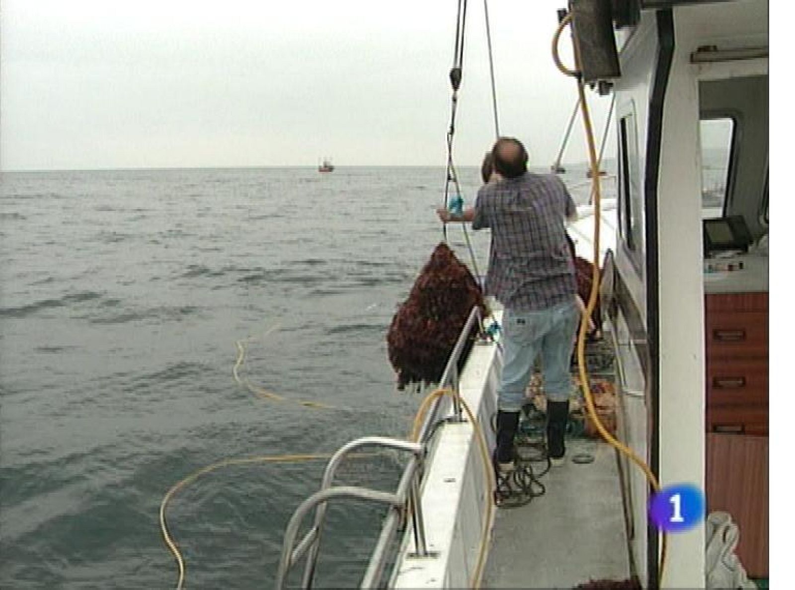 Panorama Regional - 29/08/13 | Ver