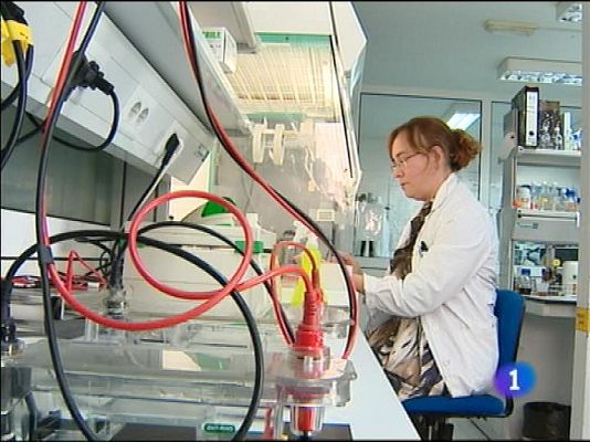 Panorama Regional - Panorama Regional 2 - 29/08/13