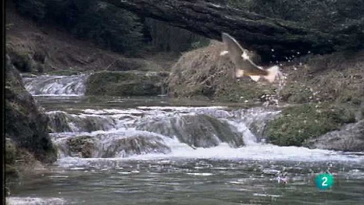 La España salvaje - Las aguas salvajes