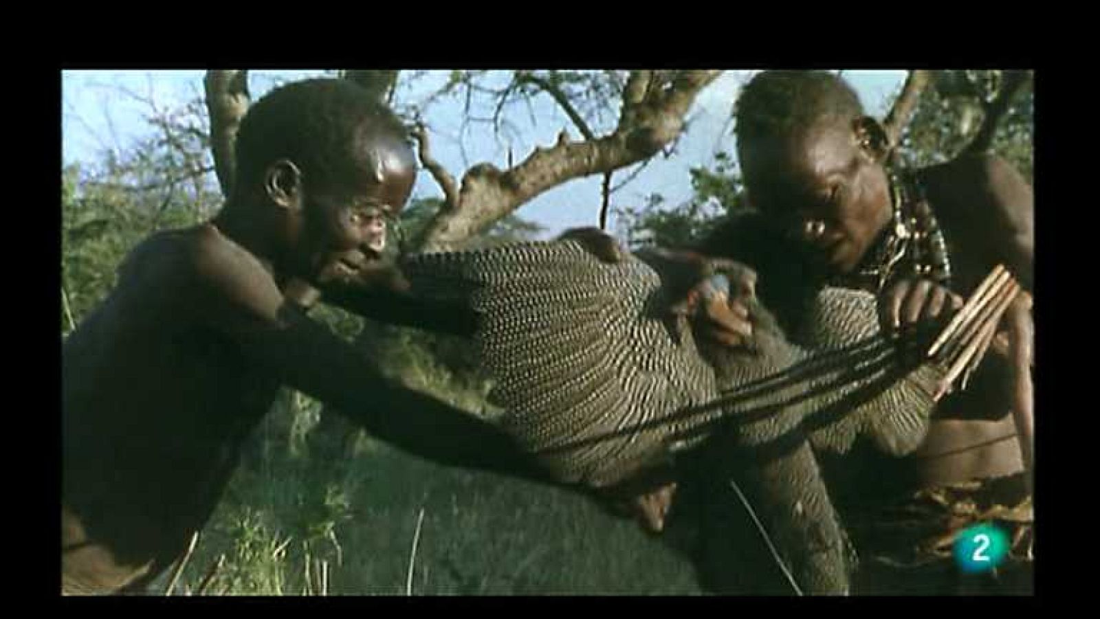 Los últimos indígenas - Hazda - ver ahora