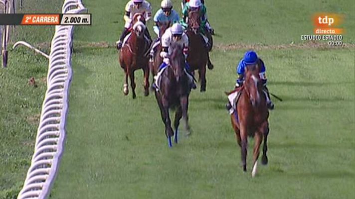 Turf - Turf - 01/09/13