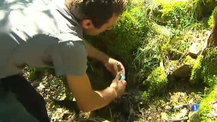 L'Informatiu - S'avança la temporada de bolets