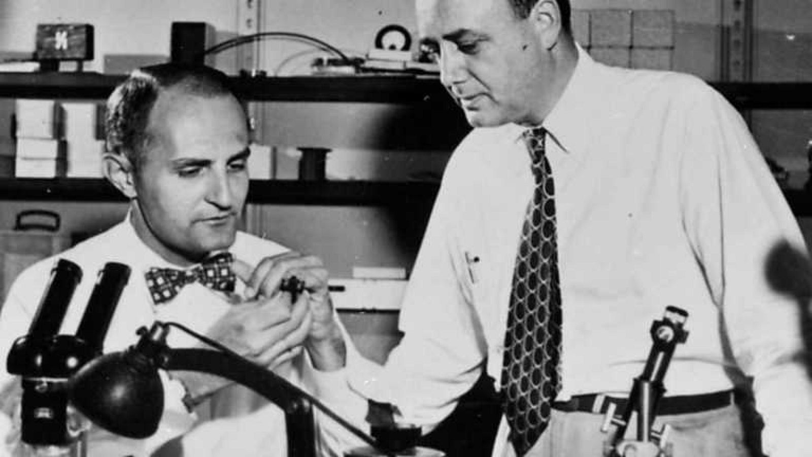 Docufilia - Los verdaderos revolucionarios - ver ahora