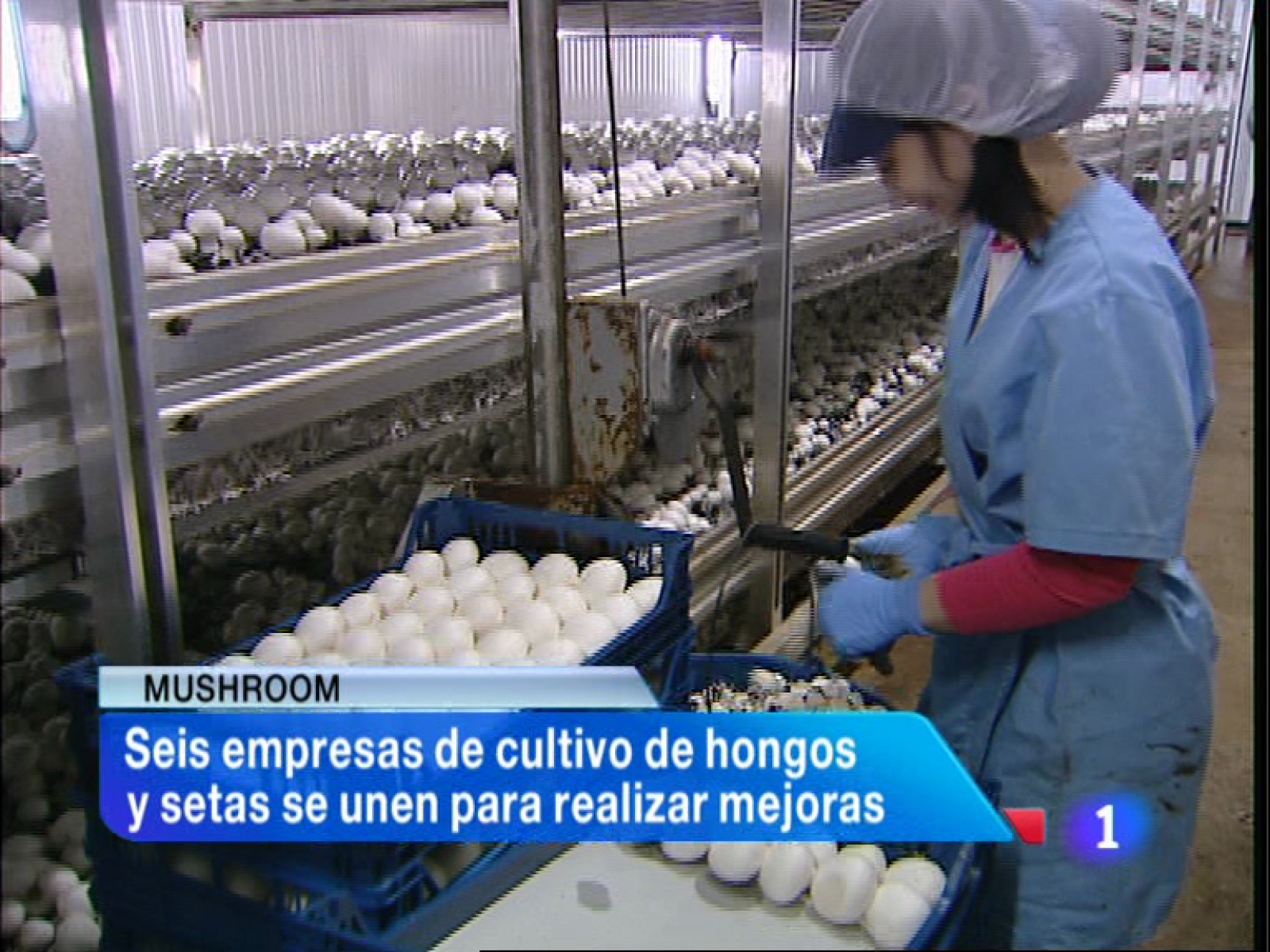 Informativo Telerioja - 04/09/13 | Ver