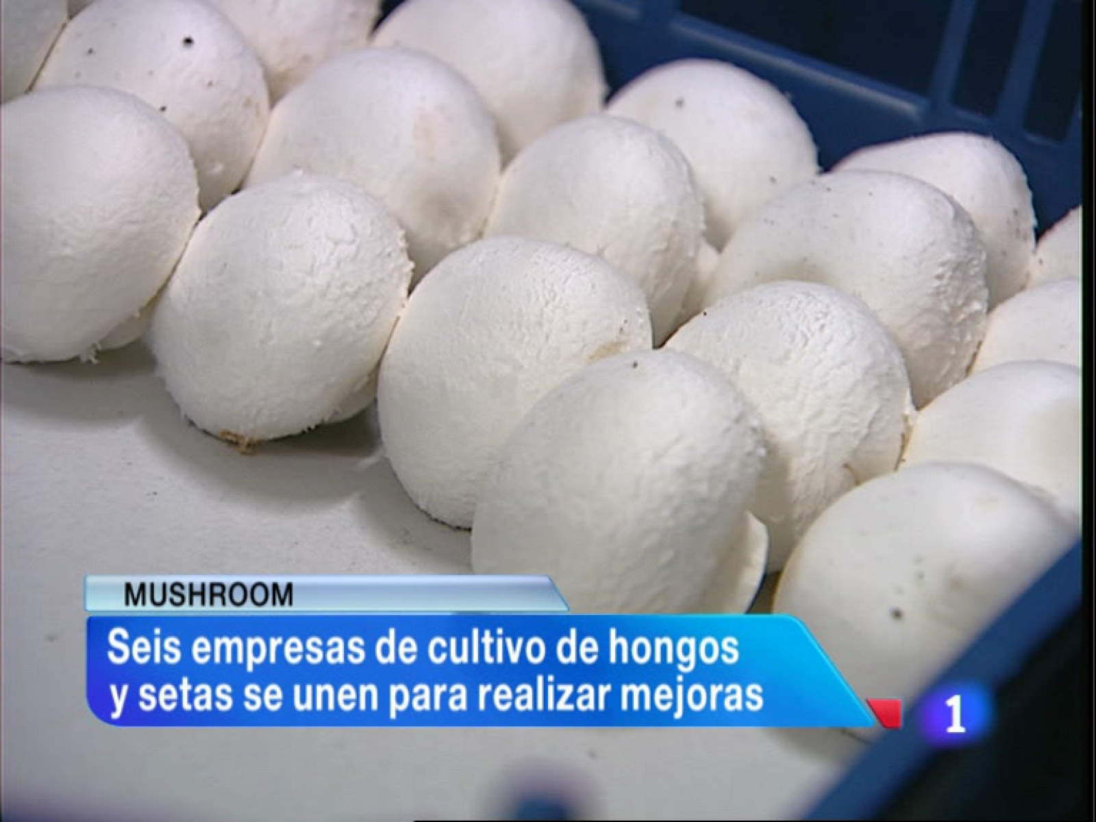 Informativo Telerioja 2 - 04/09/13 | Ver