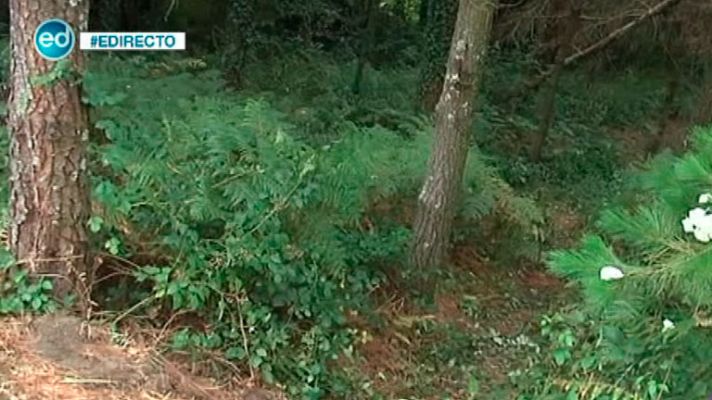 España Directo - Muerta a una mujer en Cabanas