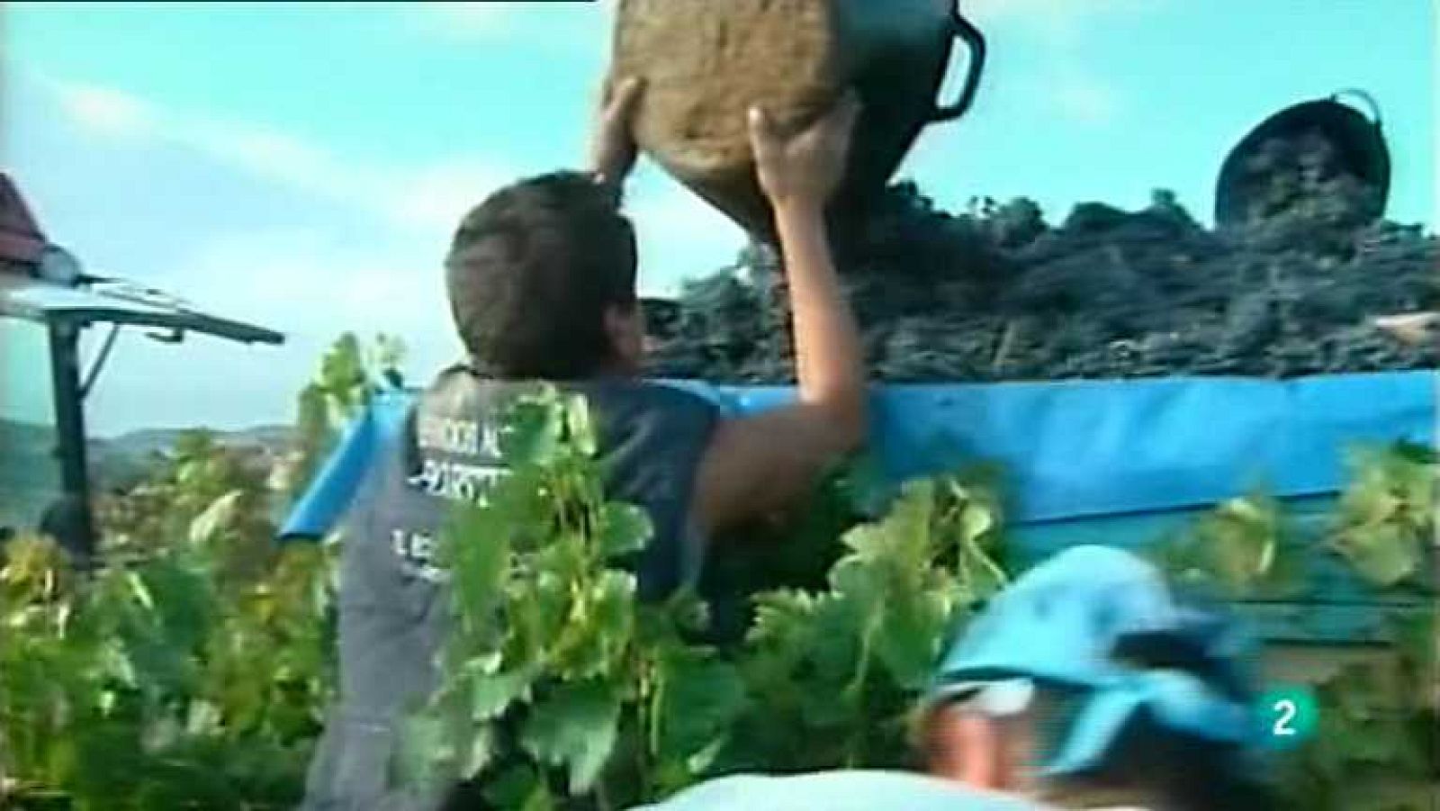 Agrosfera - 07/09/13 - Ver ahora