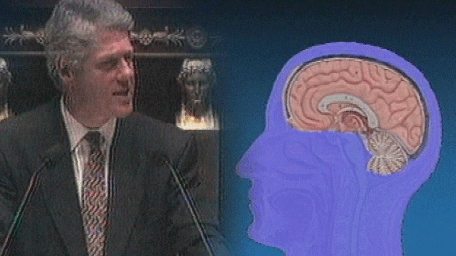 La Aventura del Saber. Serie Documental. La mente humana. La memoria