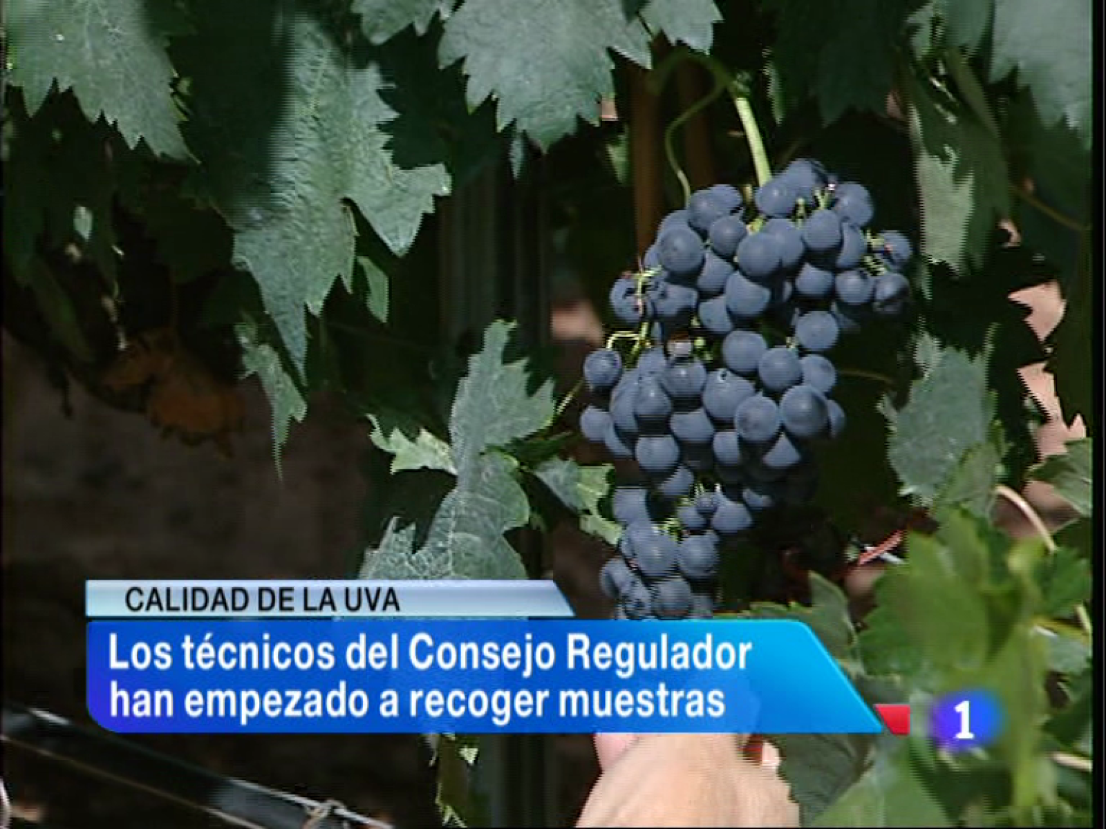 Informativo Telerioja - 10/09/13 | Ver