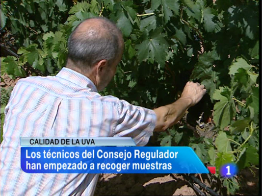 Informativo Telerioja - Informativo Telerioja 2 - 10/09/13