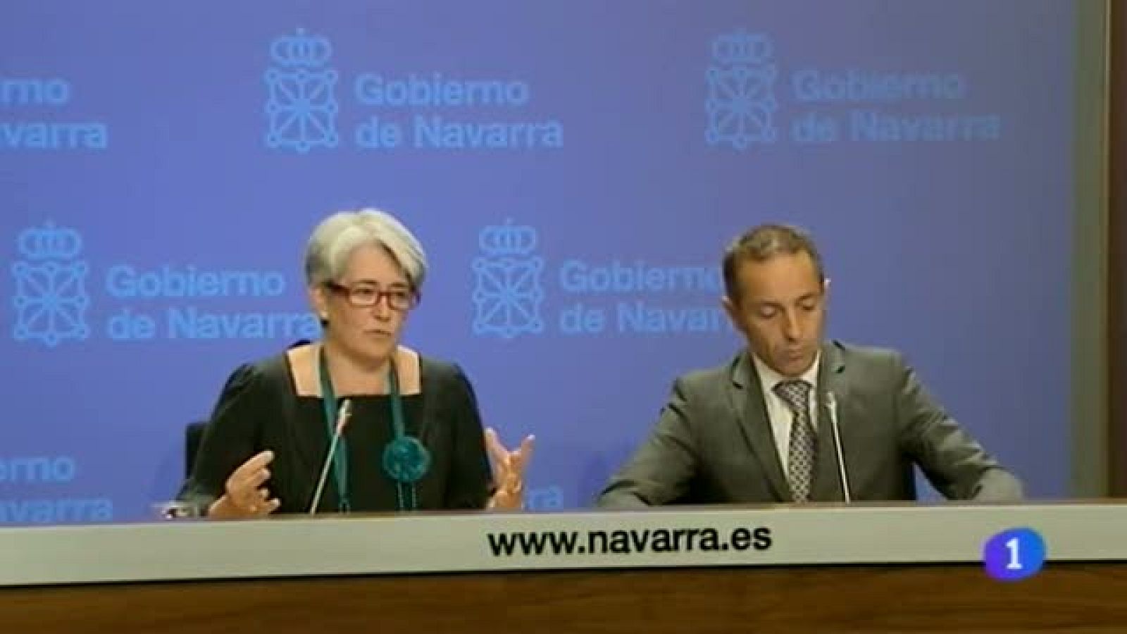 Telenavarra 2 - 11/09/2013 | Ver