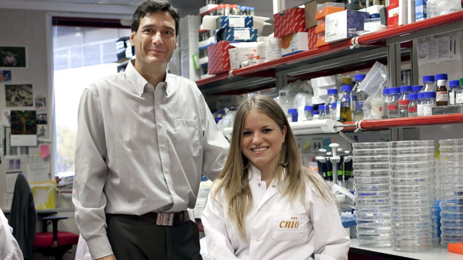 El CNIO logra rejuvenecer células adultas y convertirlas en células madre embrionarias | Ver