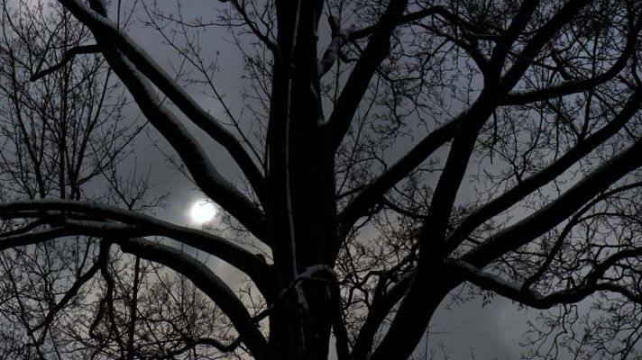 El tiempo - Lluvias fuertes en las Islas Canarias y en el Estrecho