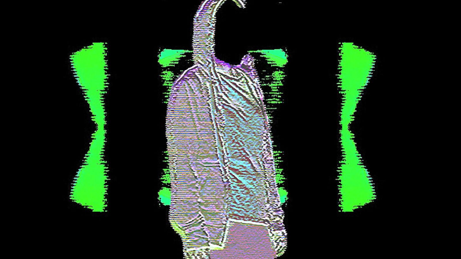 Colectivo Oruga - Salgamos corriendo - Ver ahora