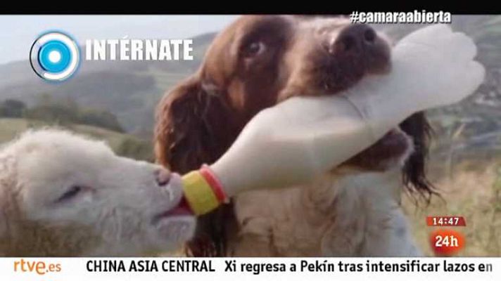 Cámara abierta - Re-evolution, Touch of classic...