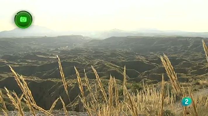 Agrosfera - Comarca de Guadix