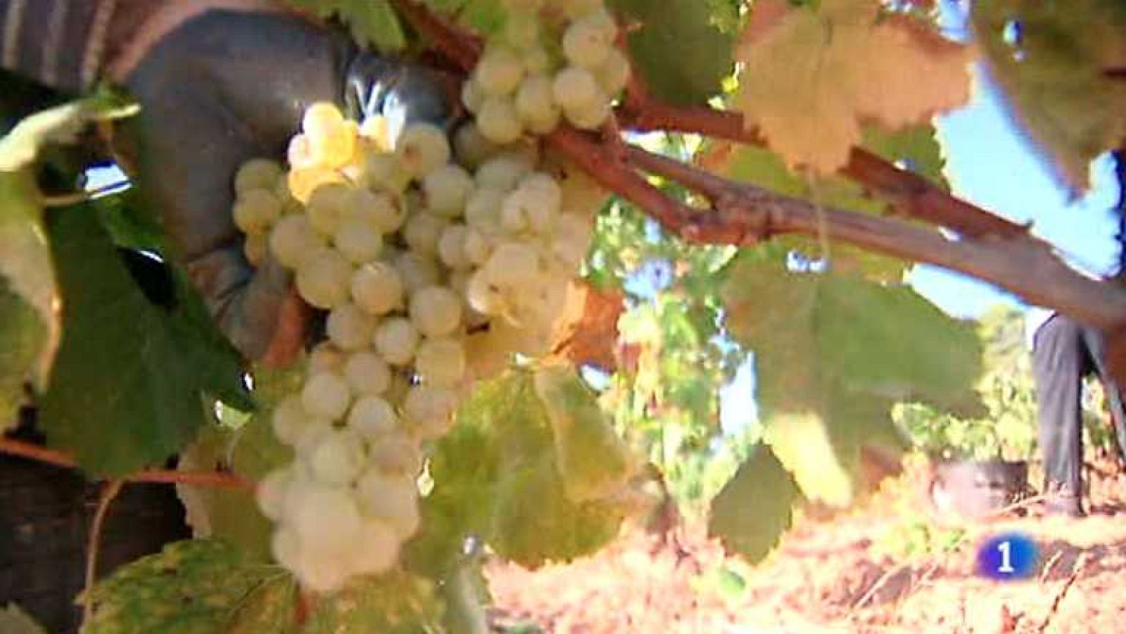 La Comunidad Valenciana en 2' - 17/09/13 - Ver ahora