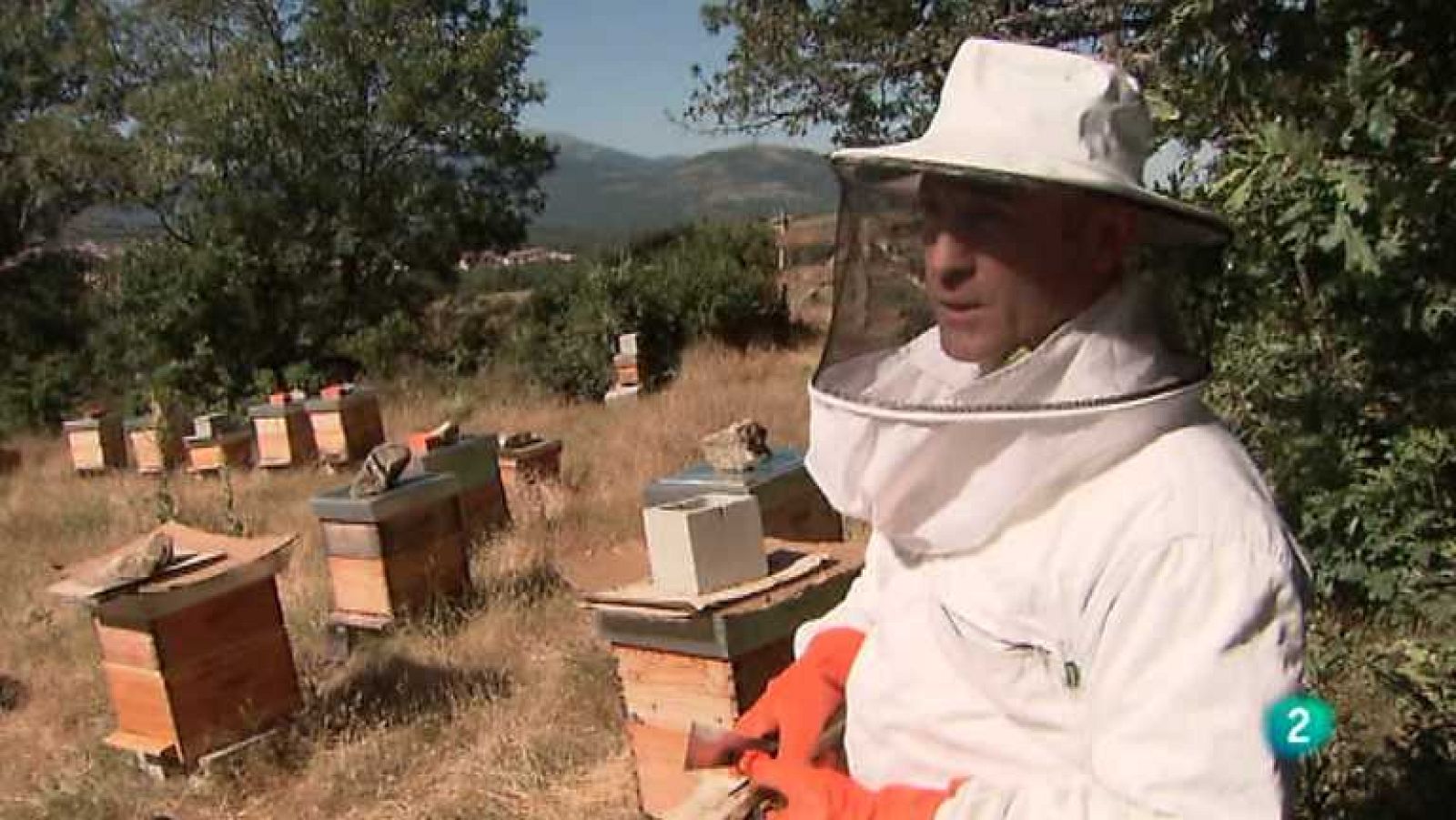 La aventura del saber - 18/09/13  - Ver ahora