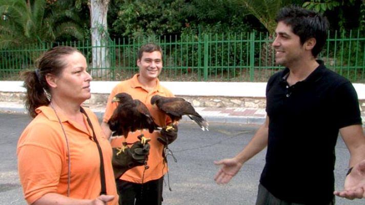 Comando Actualidad - Control de plagas