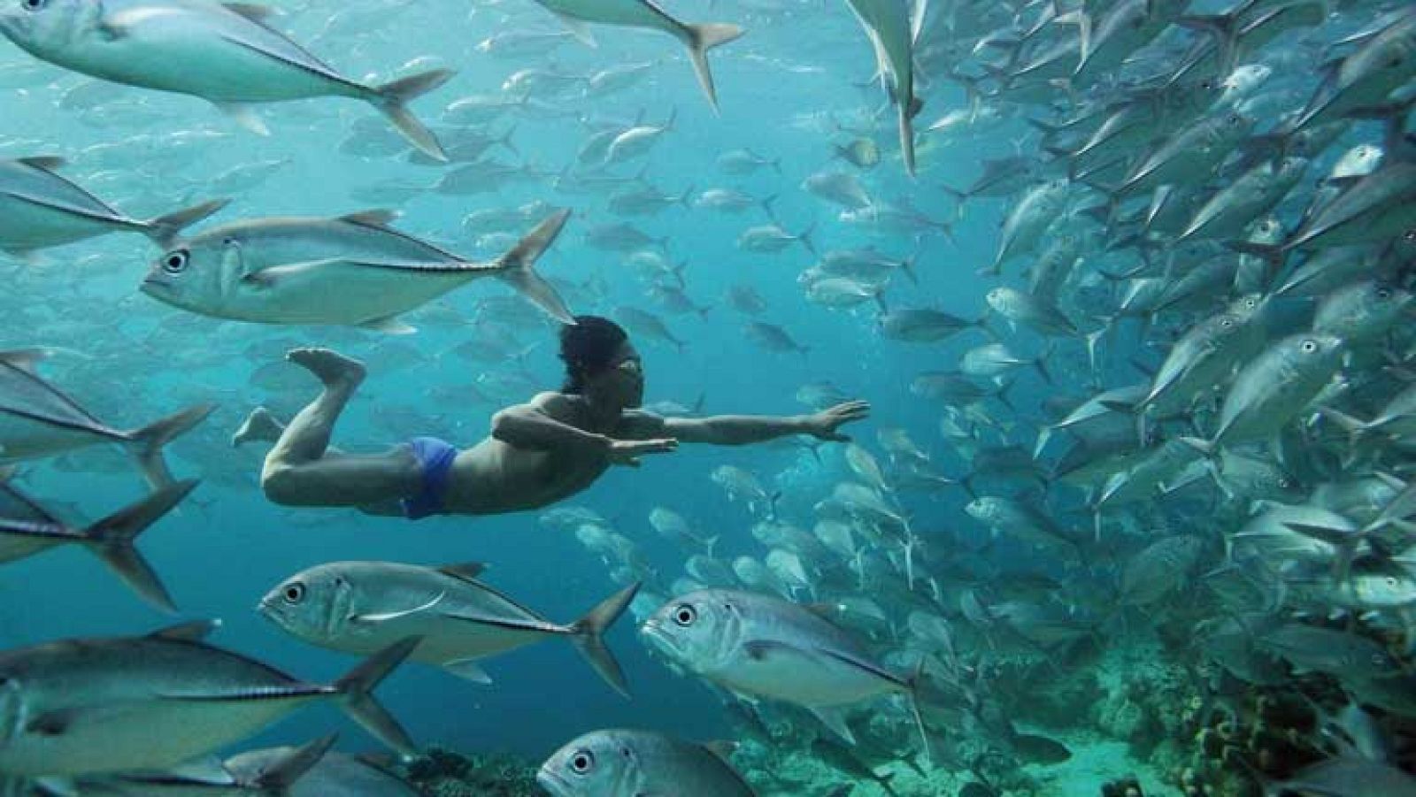 La serie documental 'Planeta Humano' llega a la 2 - Somos promos | Ver