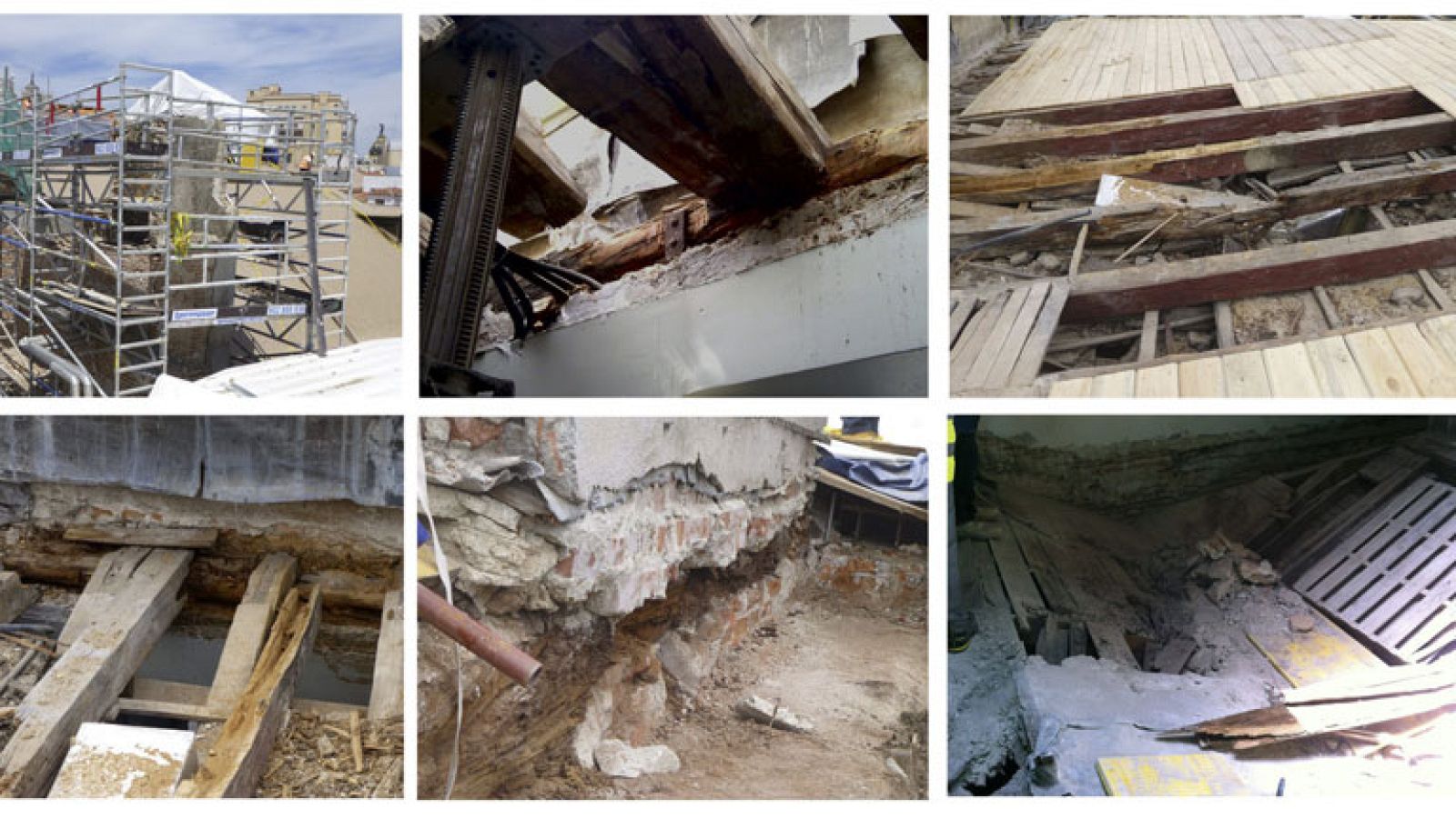 Encuentran animales momificados entre las obras del Congreso | Ver