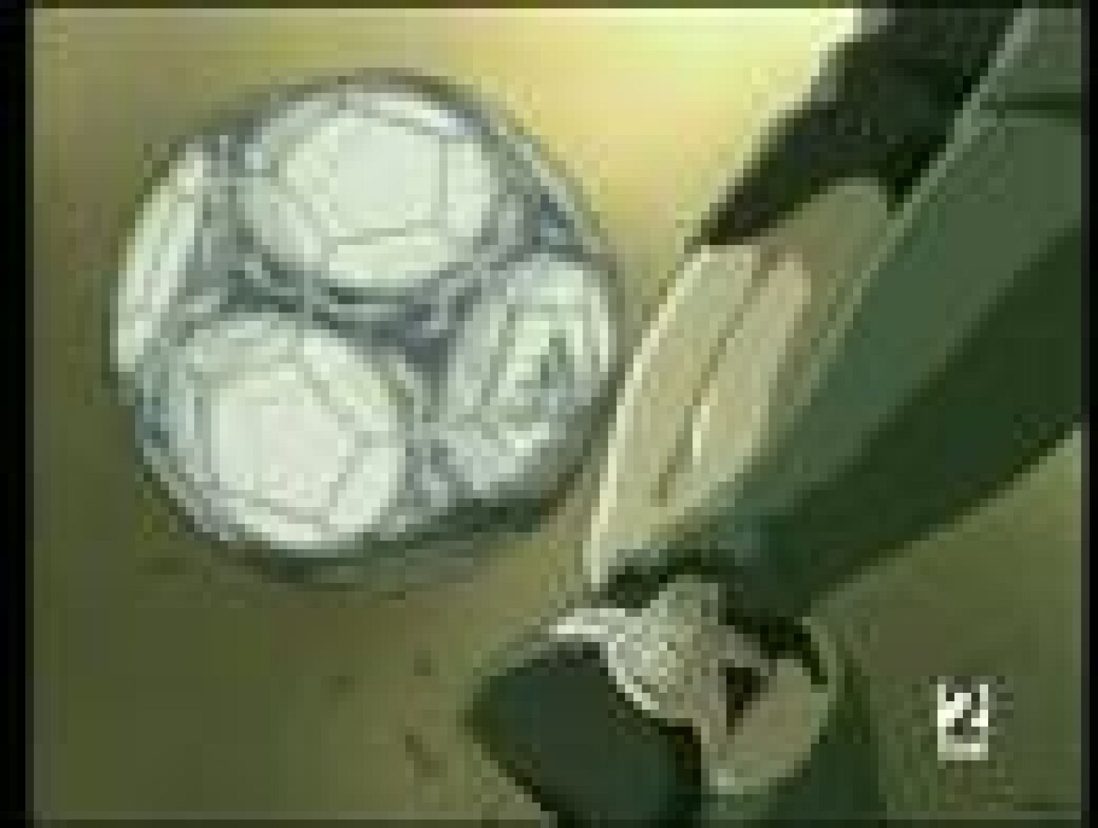 Cap32. Campeones hacia el Mundial: Oliver y Benji 