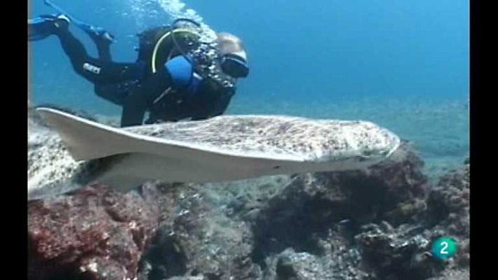 Frontera límite - Frontera Límite - 20/09/13