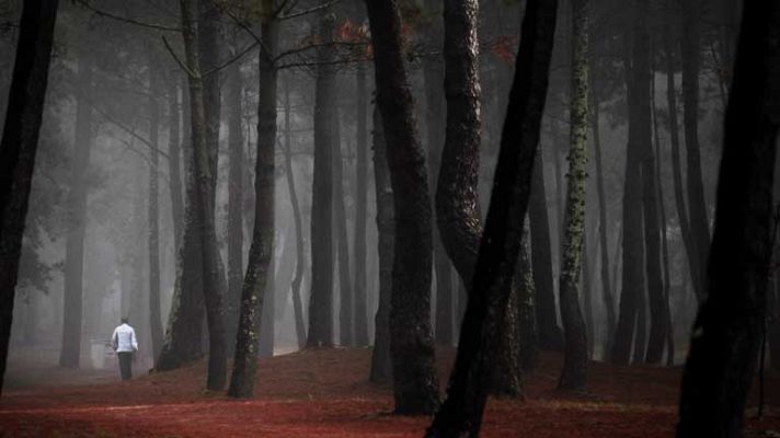 El tiempo - Tiempo poco nuboso o despejado en la mayor parte del país