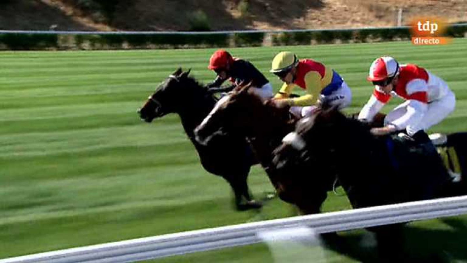 Turf - 22/09/13 - Ver ahora