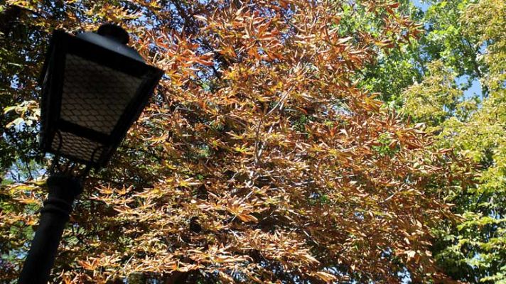 El tiempo - Intervalos nubosos de evolución diurna en algunas zonas del centro y sudeste peninsular