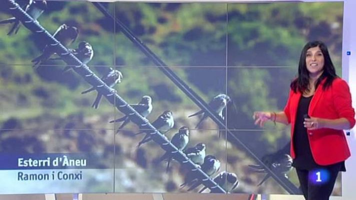 L'Informatiu - El temps - 23/09/2013