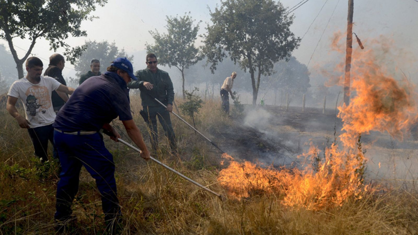 Un incendio en el municipio de A Merca, en Ourense, ha arrasado cerca de 200 hectáreas | Ver