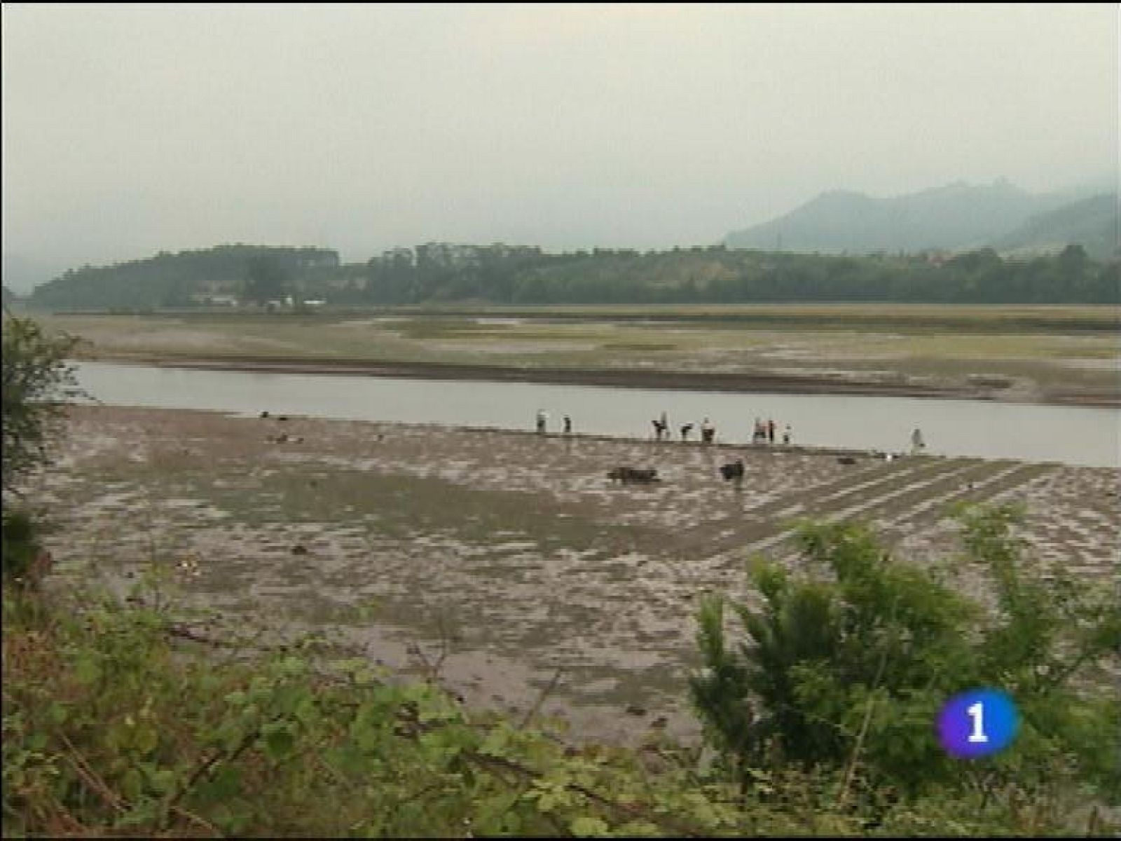 Panorama Regional 2 - 24/09/13 | Ver