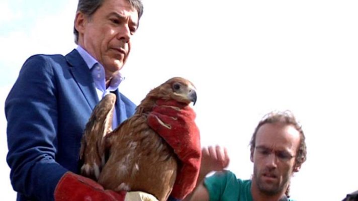 Informativo de Madrid - Informativo de Madrid - 25/09/13