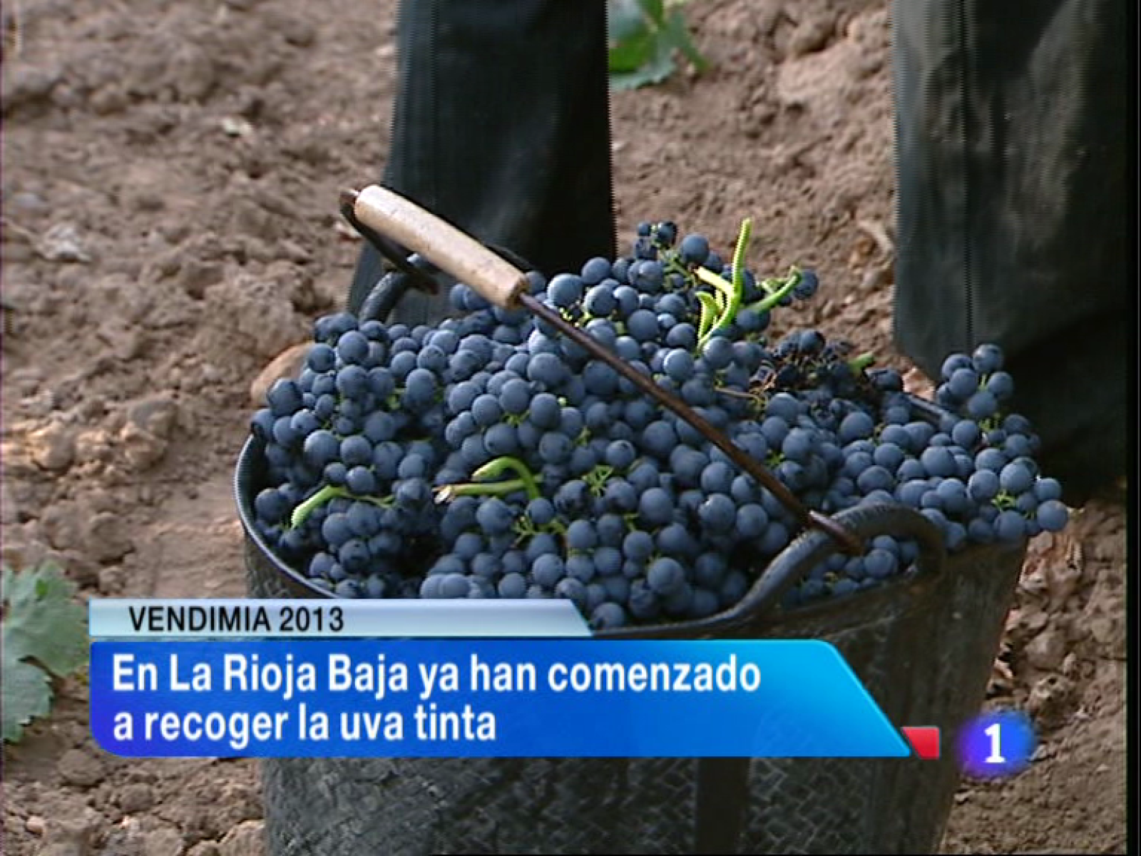 Informativo Telerioja 2 - 25/09/13 | Ver