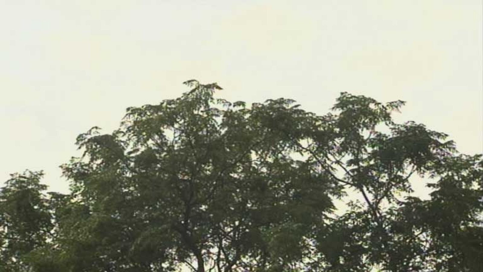 Los cielos nubosos en el tercio occidental  peninsular