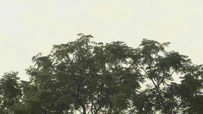 El tiempo - Cielo nuboso en el oeste