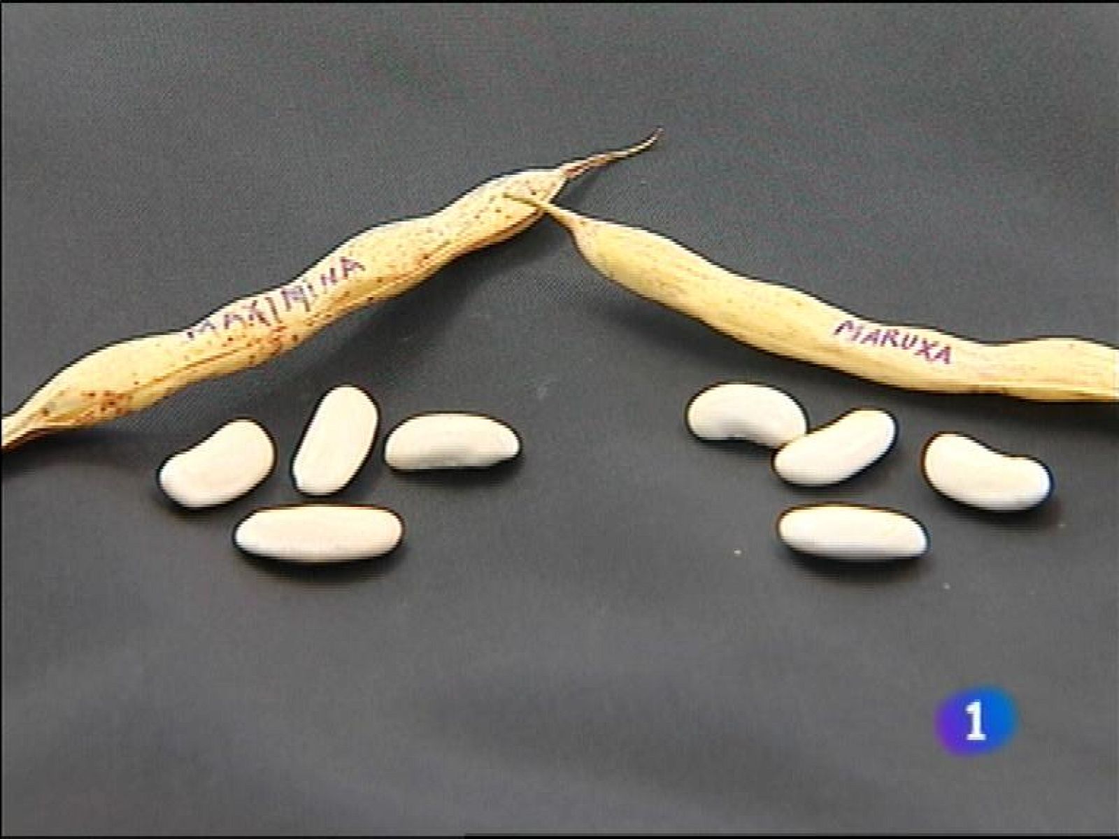 Asturias en 2' - 26/09/13 | Ver