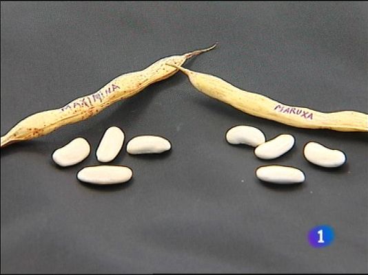 Panorama Regional - Asturias en 2' - 26/09/13