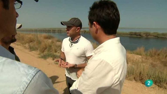 Buenas ideas TED - Visionarios sostenibles