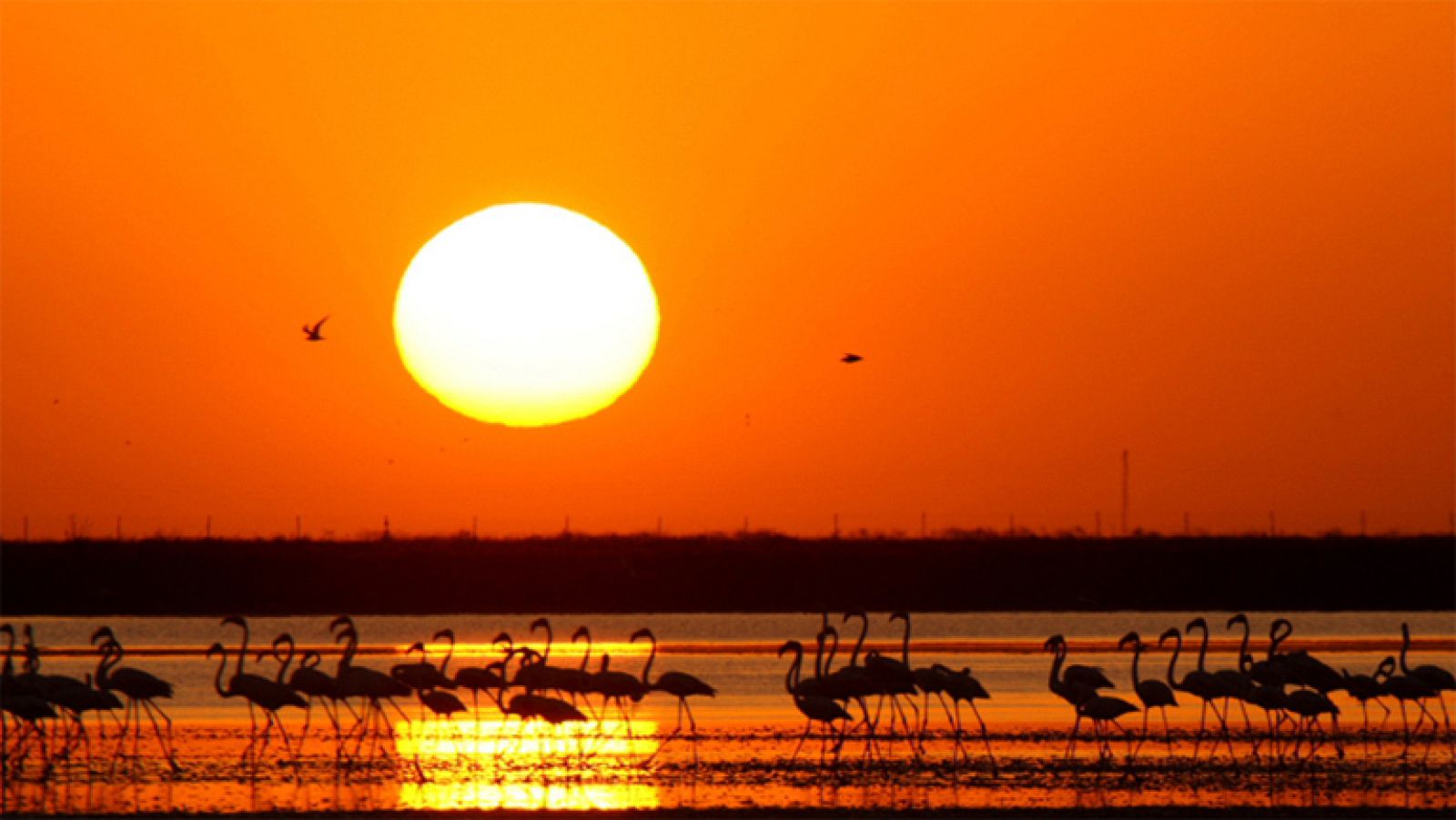 Conociendo la finca Veta la Palma - Ver ahora