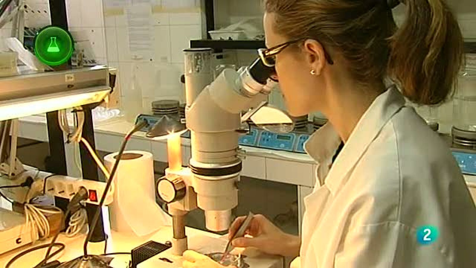 Agrosfera - Laboratorio de ideas - Parásitos del pescado