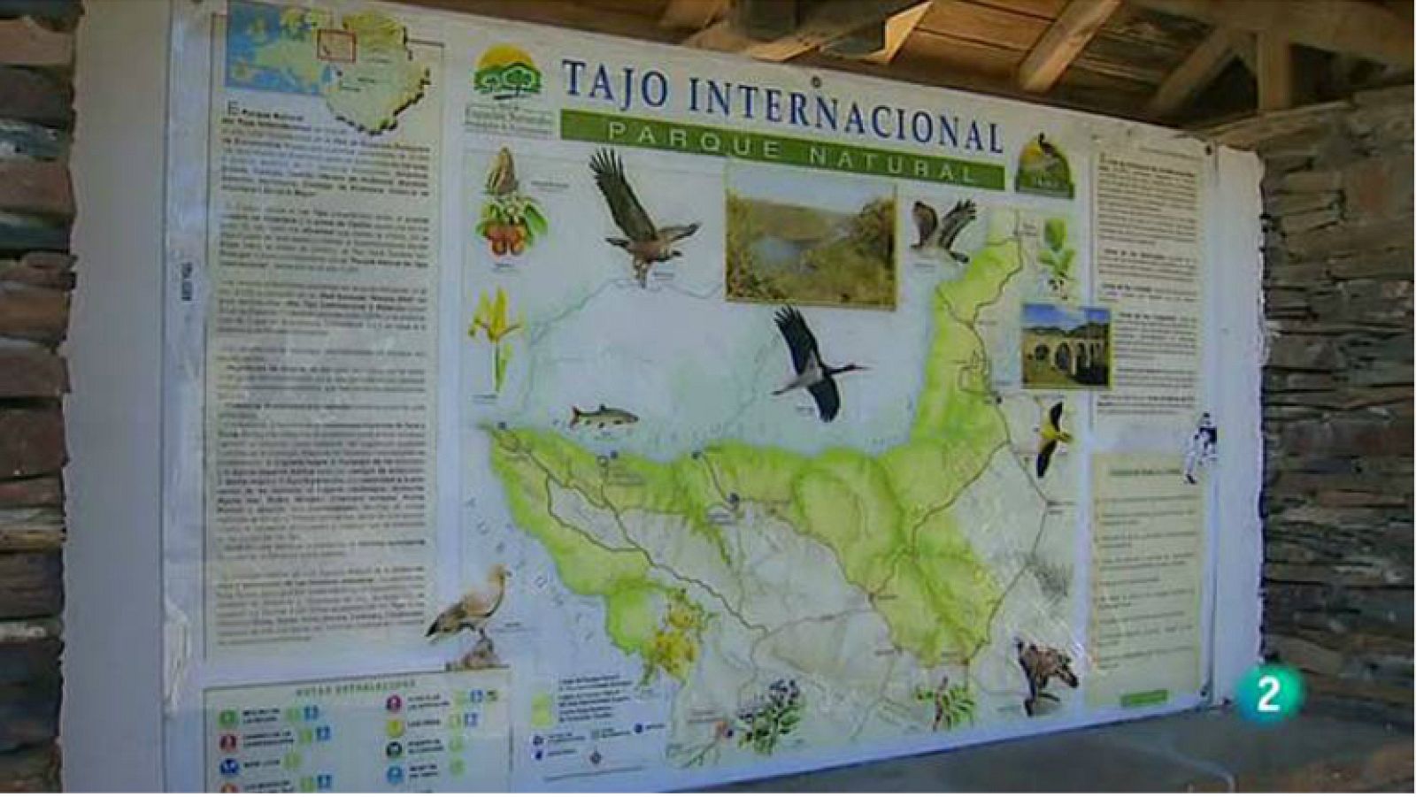 P. N. del Tajo Internacional