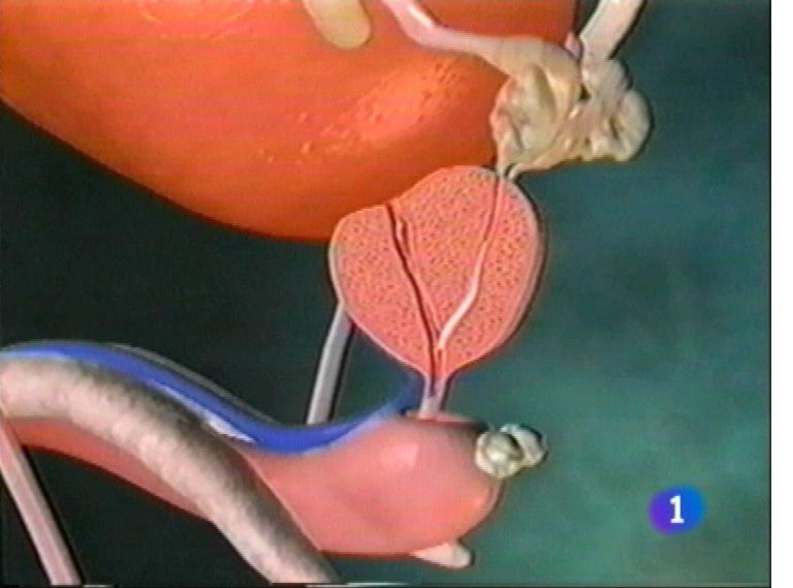 Panorama Regional 2 - 01/10/13 | Ver