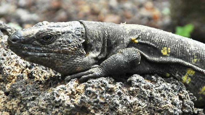 España en 24h - España en 24 horas - 01/10/13