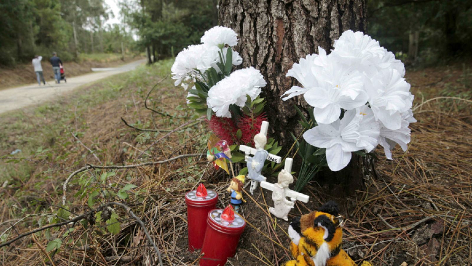 Los abogados de los padres de Asunta recurren la orden de prisión | Ver