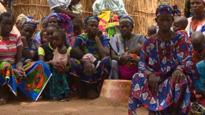 Telediario 1 - Programa TVE sobre la ablación