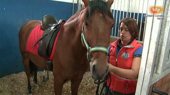 Paralímpicos - Paralímpicos - 03/10/13