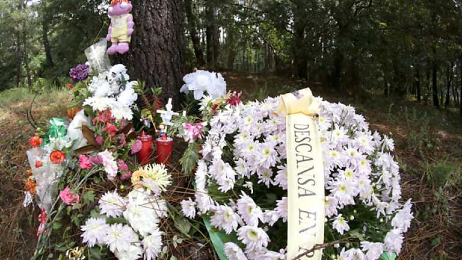 Informe Semanal - El crimen de Asunta: probar lo incomprensible -  ver ahora