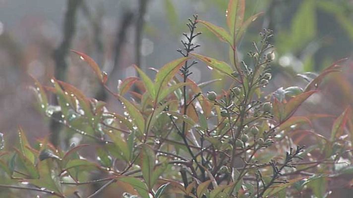 El tiempo - Cielo nuboso con chubascos en Levante, Baleares y nordeste catalán
